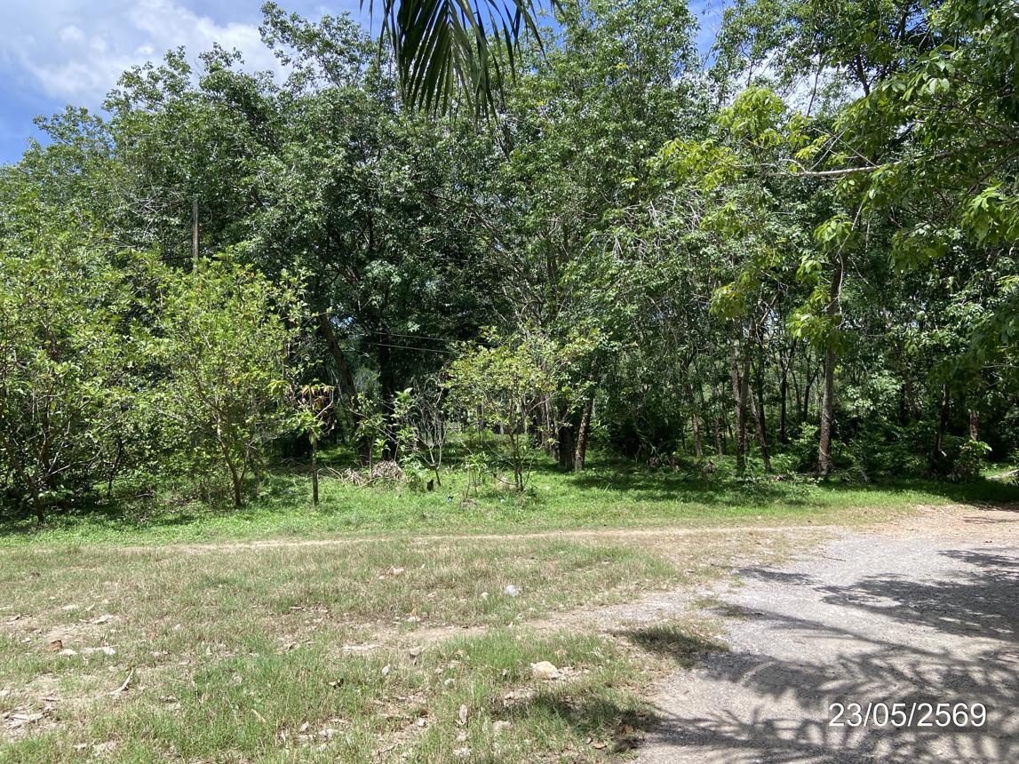 picture HOME 6467.9 Sq.w. Thepha Songkhla for 4.6M - 29/35