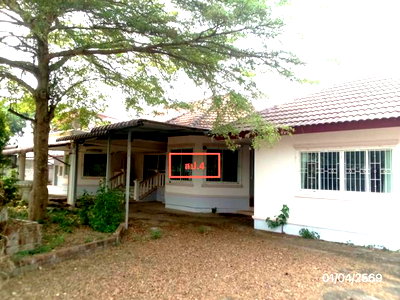 ขายบ้านเดี่ยว : บ้านเดี่ยว 1885 ตร.วา ดอยสะเก็ด เชียงใหม่ 11.4M