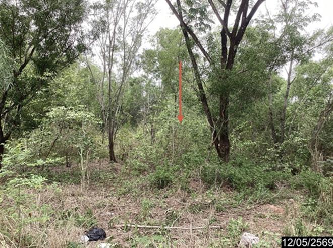picture LAND 991.1 Sq.w. Muang Udon Thani Udon Thani for 8.4M - 8/19