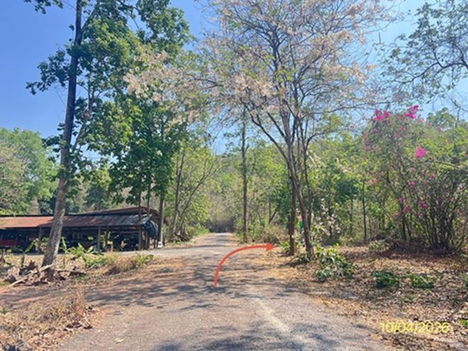 รูป ที่ดินว่างเปล่า 238 ตร.วา ภูพนา รีสอร์ท จอมบึง ราชบุรี 141,000 - รูปที่ 6/17