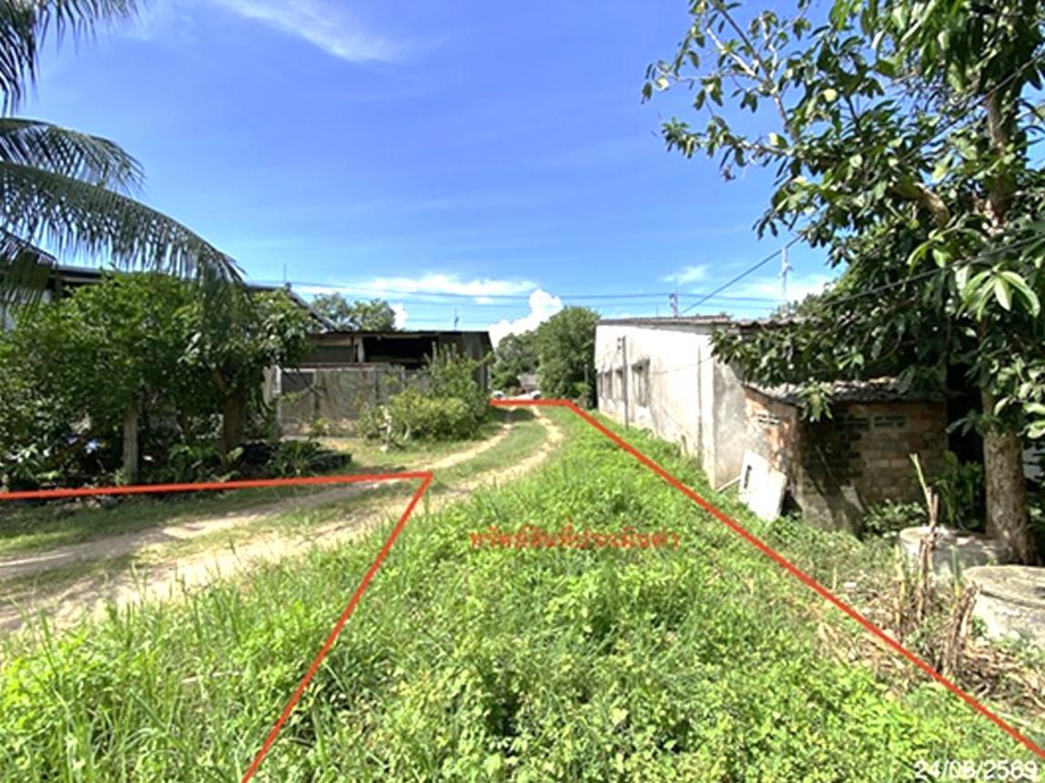 picture LAND 727.8 Sq.w. Rattaphum Songkhla for 8M - 15/21