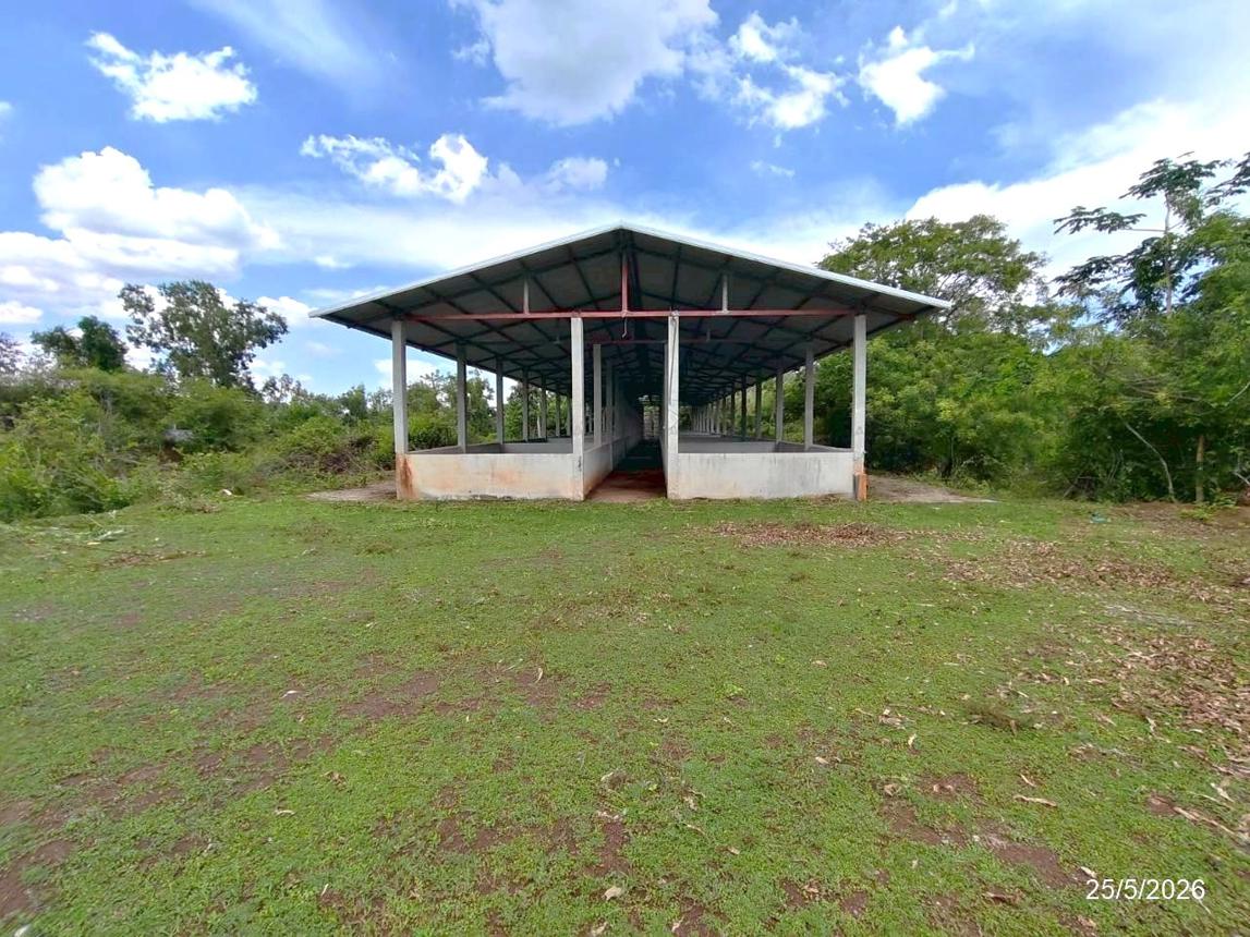 picture HOME 17362 Sq.w. Prachak Silapakom Udon Thani for 12.8M - 45/53