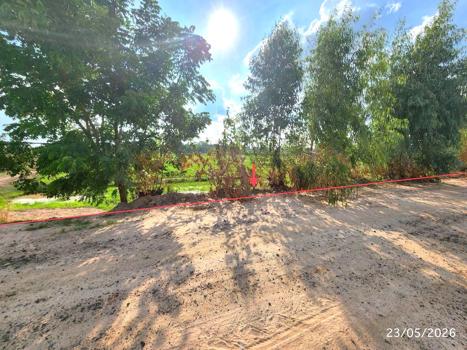 picture LAND 2647 Sq.w. Phayakkhaphum Phisai Maha Sarakham for 929,000 - 20/23