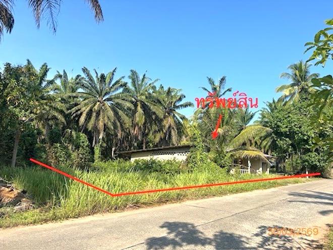 picture HOME 4176 Sq.w. Prasaeng Surat Thani for 3.7M - 25/55
