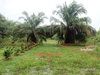 listing thumbnail image 5