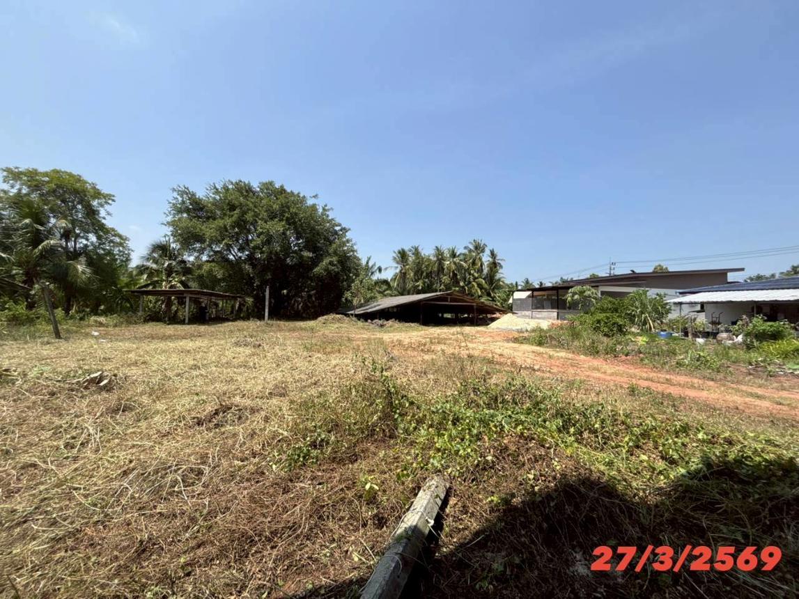 picture FACTORY 3056 Sq.w. Chaiya Surat Thani for 2.1M - 14/23