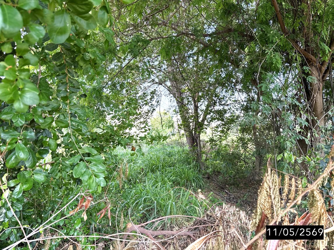 รูป ที่ดินว่างเปล่า 80 ตร.วา เมืองขอนแก่น ขอนแก่น 1.1M - รูปที่ 11/15