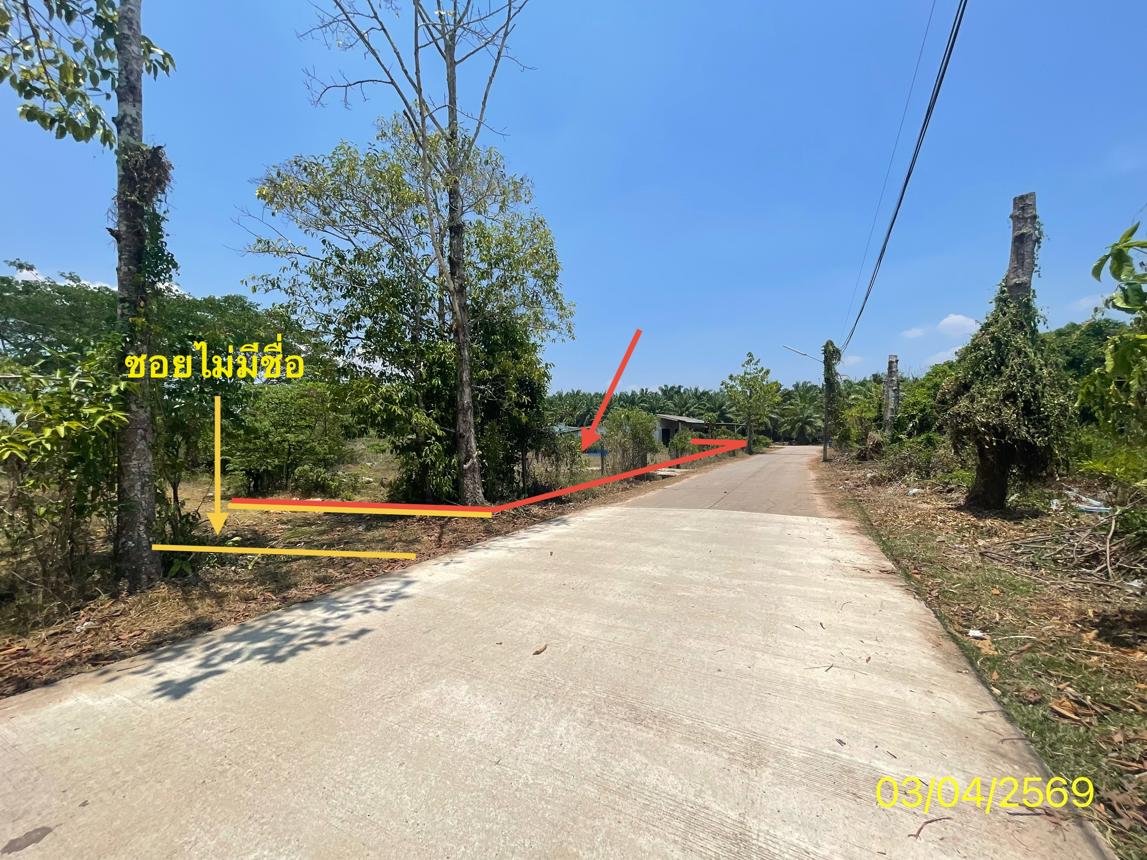 picture LAND 179.2 Sq.w. Kantrang Trang for 1.5M - 21/25