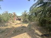 listing thumbnail image 24