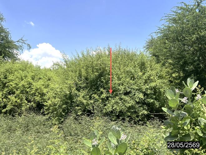 รูป ที่ดินว่างเปล่า 118 ตร.วา กระนวน ขอนแก่น 1.4M - รูปที่ 2/17