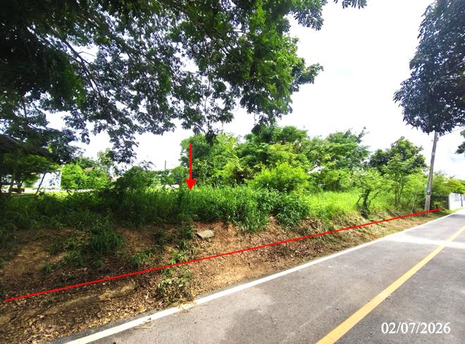 รูป ที่ดินว่างเปล่า 320 ตร.วา บางระกำ พิษณุโลก 2.1M - รูปที่ 2/19