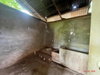 listing thumbnail image 26
