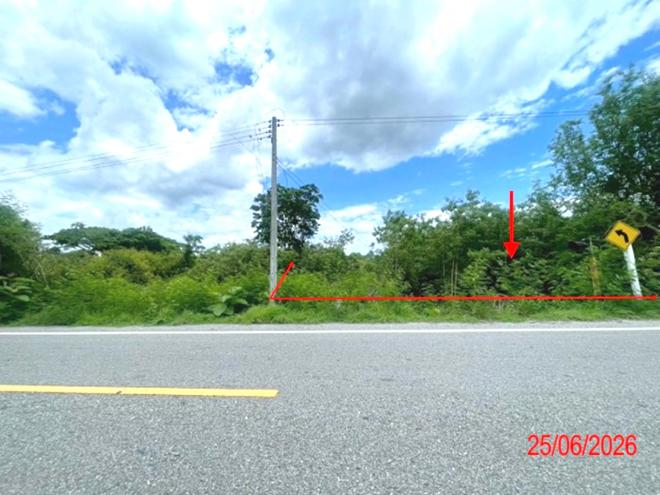 รูป ที่ดินว่างเปล่า 2861 ตร.วา เวียงหนองล่อง ลำพูน 2M - รูปที่ 4/15