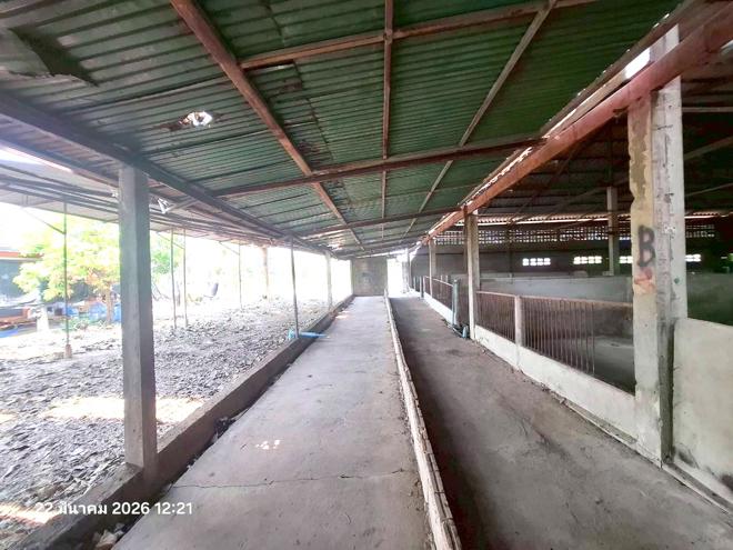 รูป ฟาร์ม 848.1 ตร.วา ศรีสำโรง สุโขทัย 2.2M - รูปที่ 2/31