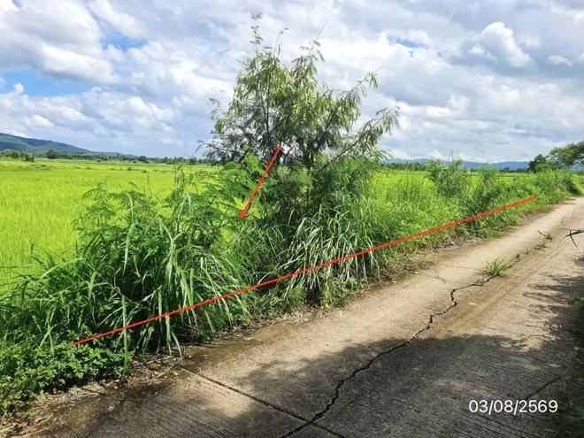 picture LAND 2203 Sq.w. Chun Phayao for 1.7M - 2/21
