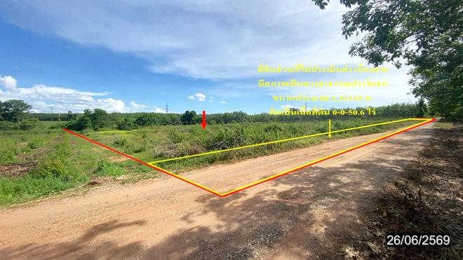 รูป ที่ดินว่างเปล่า 14760 ตร.วา ศรีบุญเรือง หนองบัวลำภู 3.7M - รูปที่ 1/15
