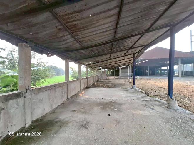รูป โกดัง 979 ตร.วา เชียงแสน เชียงราย 6.1M - รูปที่ 13/41