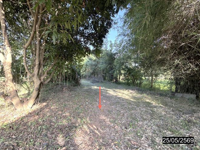 รูป บ้านเดี่ยว 1049 ตร.วา ยางตลาด กาฬสินธุ์ 1.1M - รูปที่ 8/21