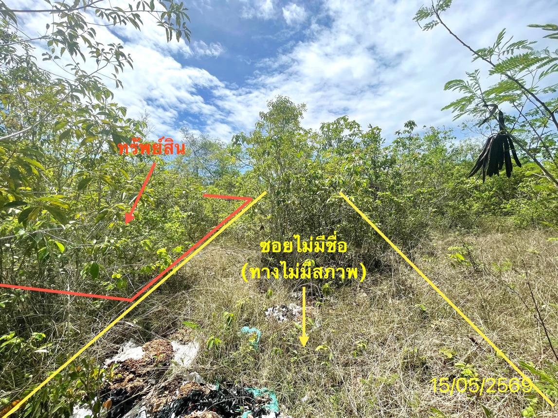 picture LAND 50 Sq.w. Rattaphum Songkhla for 225,000 - 8/15
