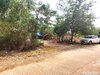 listing thumbnail image 19