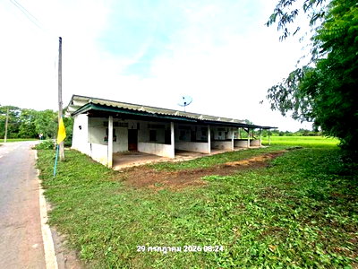 ขายบ้านเดี่ยว : บ้านเดี่ยว 200 ตร.วา บางระจัน สิงห์บุรี 846,000