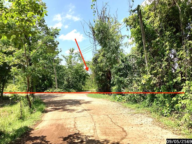 รูป ที่ดินว่างเปล่า 12389 ตร.วา กุสุมาลย์ สกลนคร 7.7M - รูปที่ 11/25