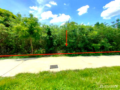 ขายที่ดิน : ที่ดินว่างเปล่า 292 ตร.วา เมืองลพบุรี ลพบุรี 1.6M