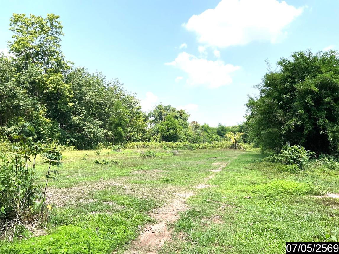 รูป ที่ดินว่างเปล่า 2302 ตร.วา ศรีวิไล บึงกาฬ 5.8M - รูปที่ 20/25
