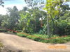 listing thumbnail image 20