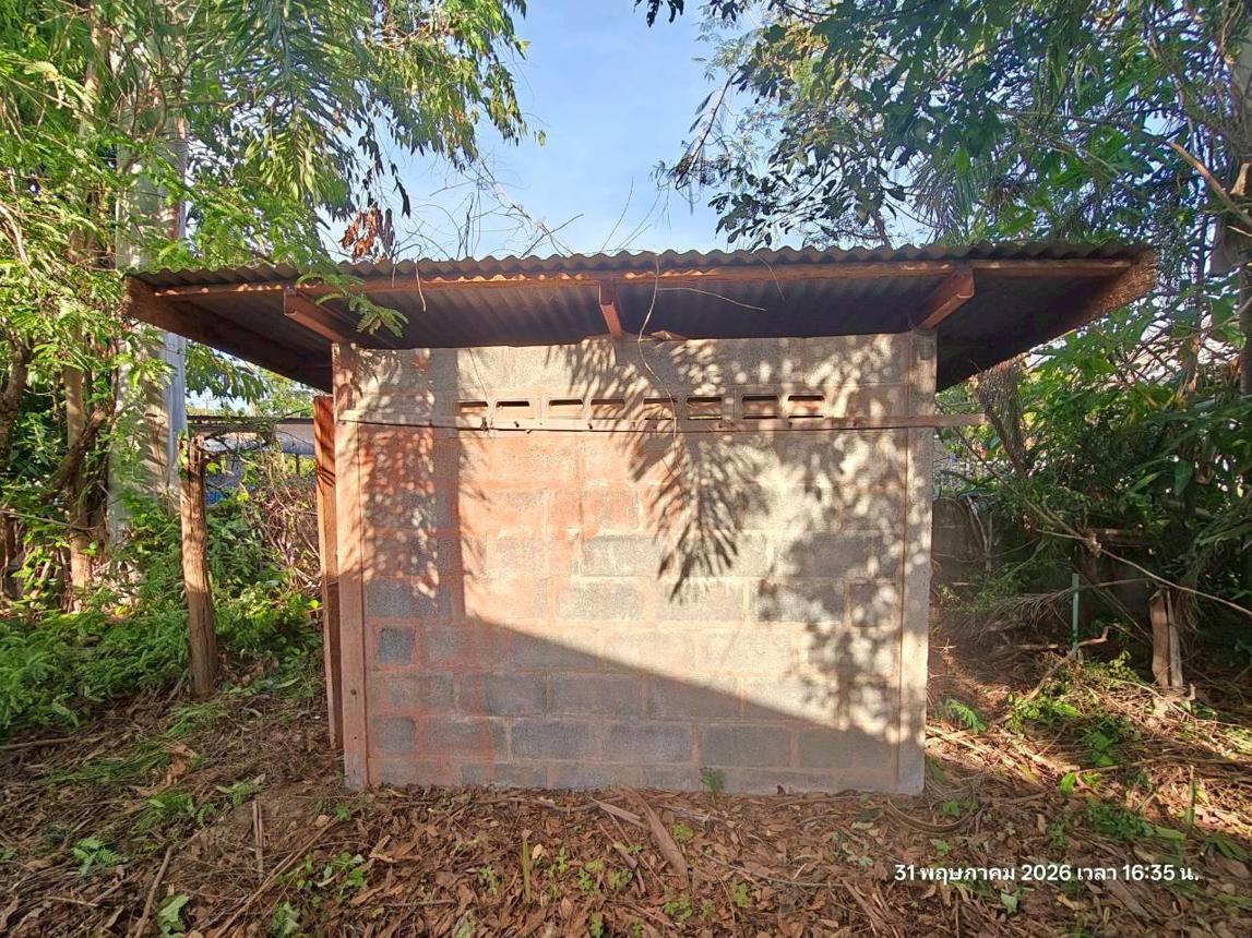 รูป บ้านเดี่ยว 5520 ตร.วา ชานุมาน อำนาจเจริญ 10.2M - รูปที่ 44/55