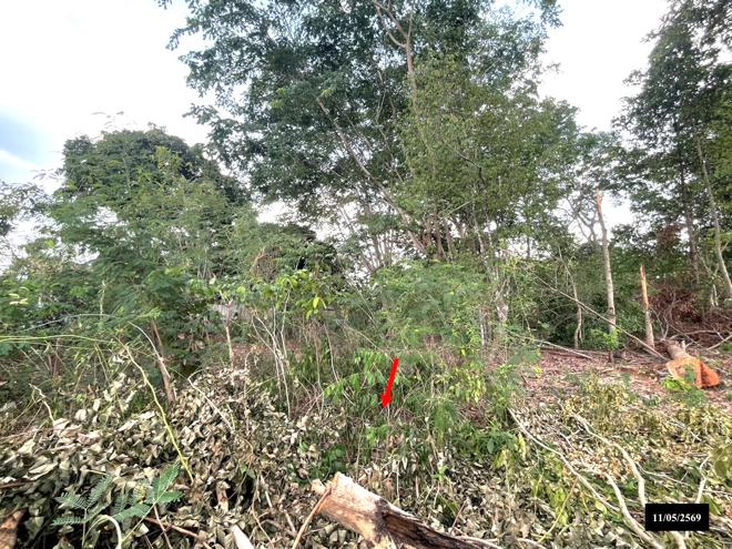 รูป ที่ดินว่างเปล่า 373 ตร.วา ส่องดาว สกลนคร 1.2M - รูปที่ 6/15