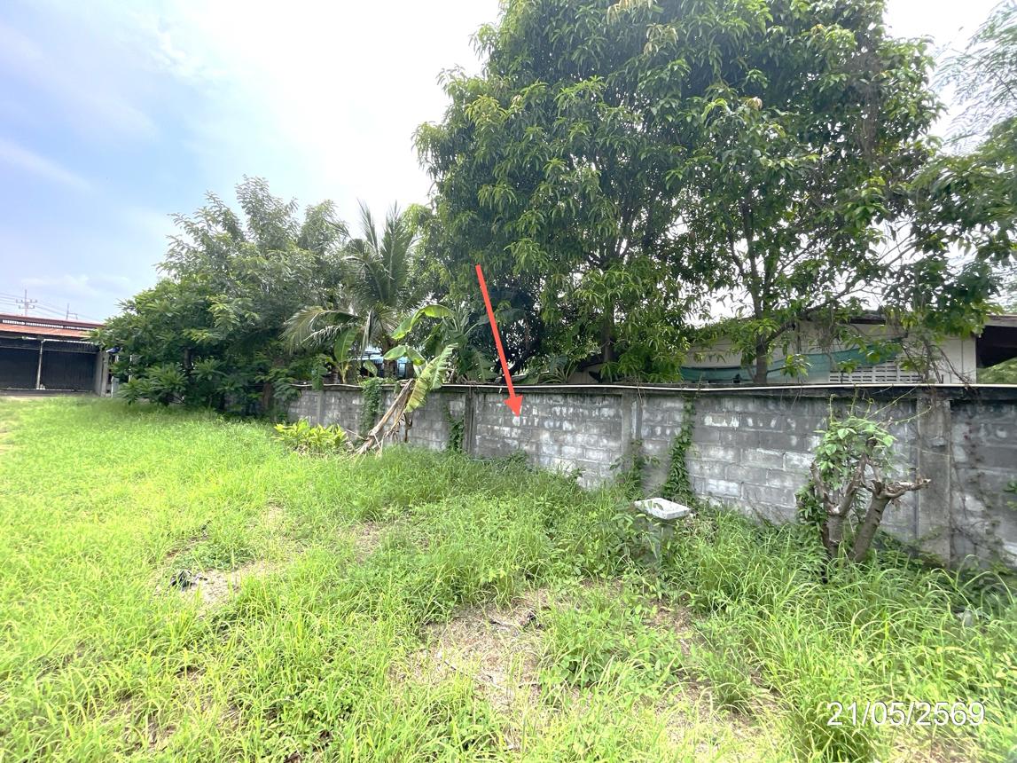 รูป บ้านเดี่ยว 338 ตร.วา ท่าตะโก นครสวรรค์ 3.7M - รูปที่ 29/37