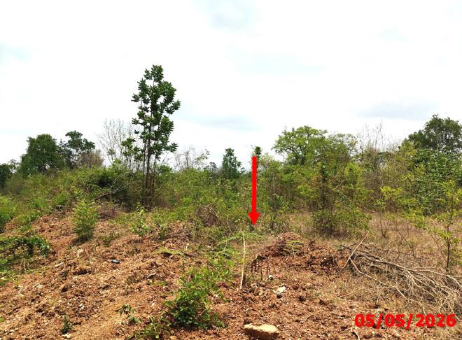 picture LAND 920 Sq.w. Mae Tha Lamphang for 1.3M - 4/21