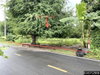 listing thumbnail image 23