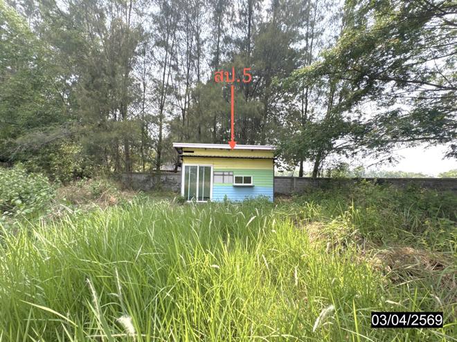 picture FACTORY 1614.4 Sq.w. Muang Si Sa Ket Si Sa Ket for 10M - 19/45