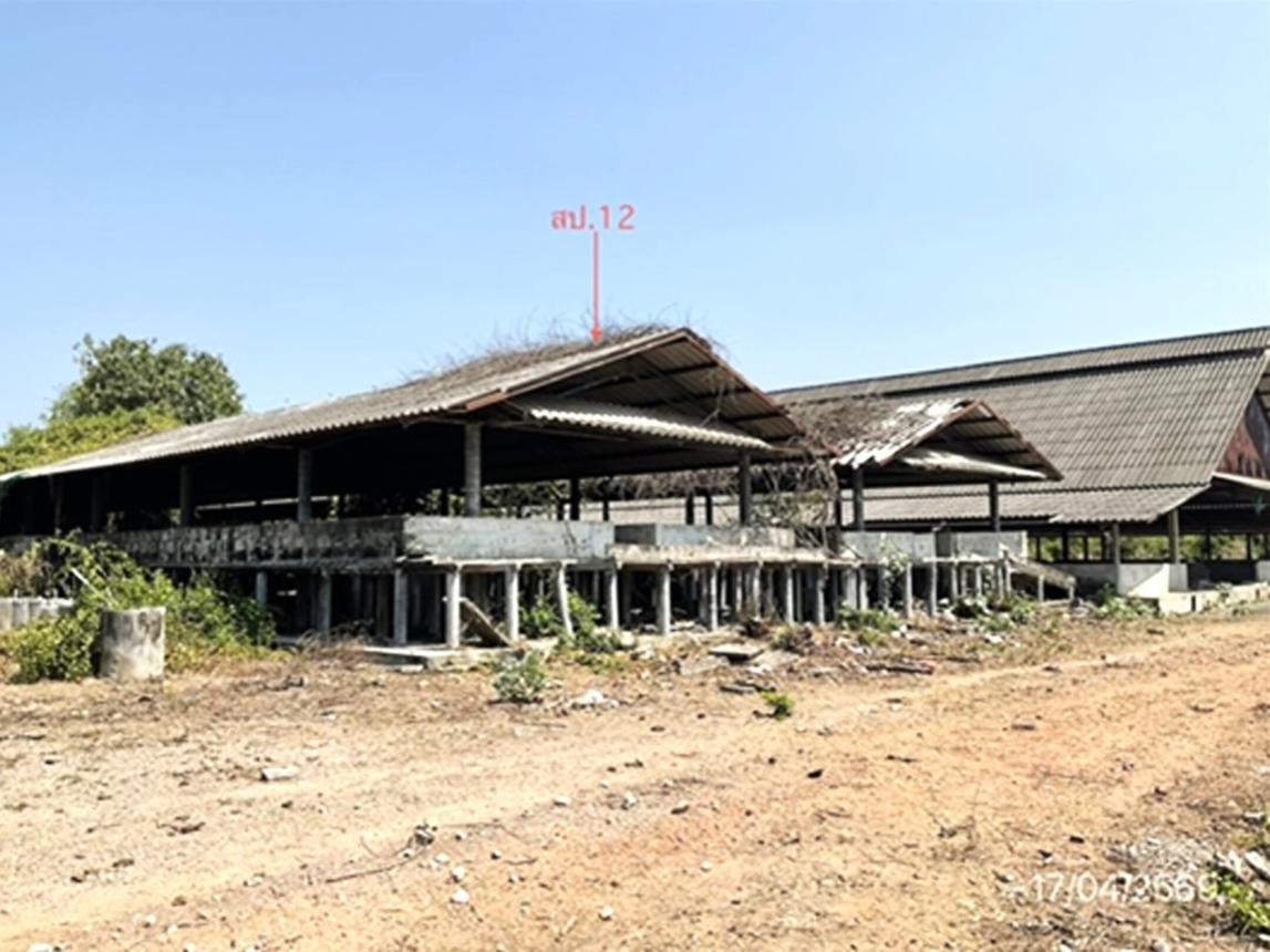 รูป ฟาร์ม 10017 ตร.วา โพธาราม ราชบุรี 12.4M - รูปที่ 36/45