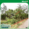 listing thumbnail image 14