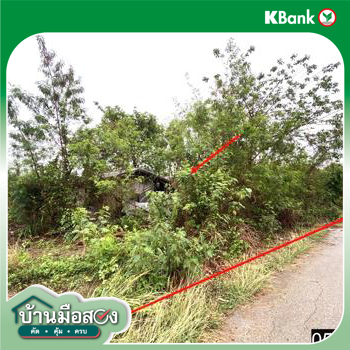picture LAND 18631 Sq.w. Na Duang Loei for 5.5M - 15/17
