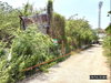listing thumbnail image 5