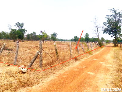 Land for sale Ban Dan Lan Hoi Sukhothai : LAND 7153 Sq.w. Ban Dan Lan Hoi Sukhothai for 2.8M