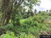 listing thumbnail image 25