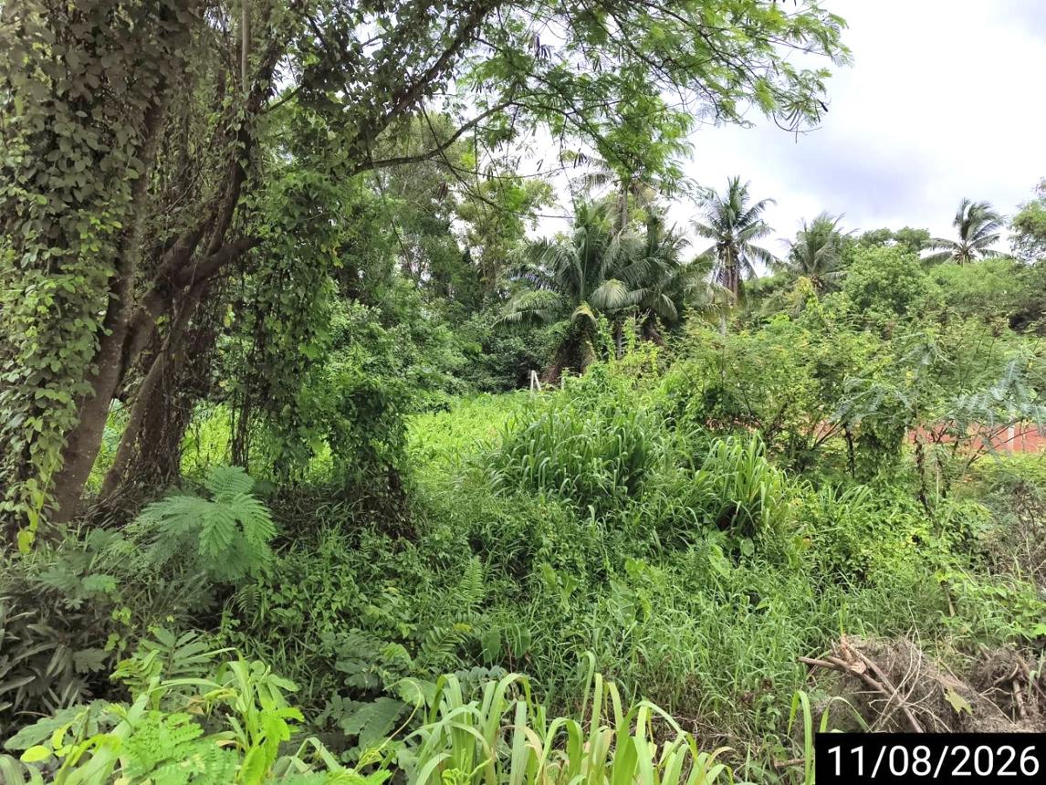 รูป ที่ดินว่างเปล่า 408.8 ตร.วา เมืองชุมพร ชุมพร 3.7M - รูปที่ 26/37