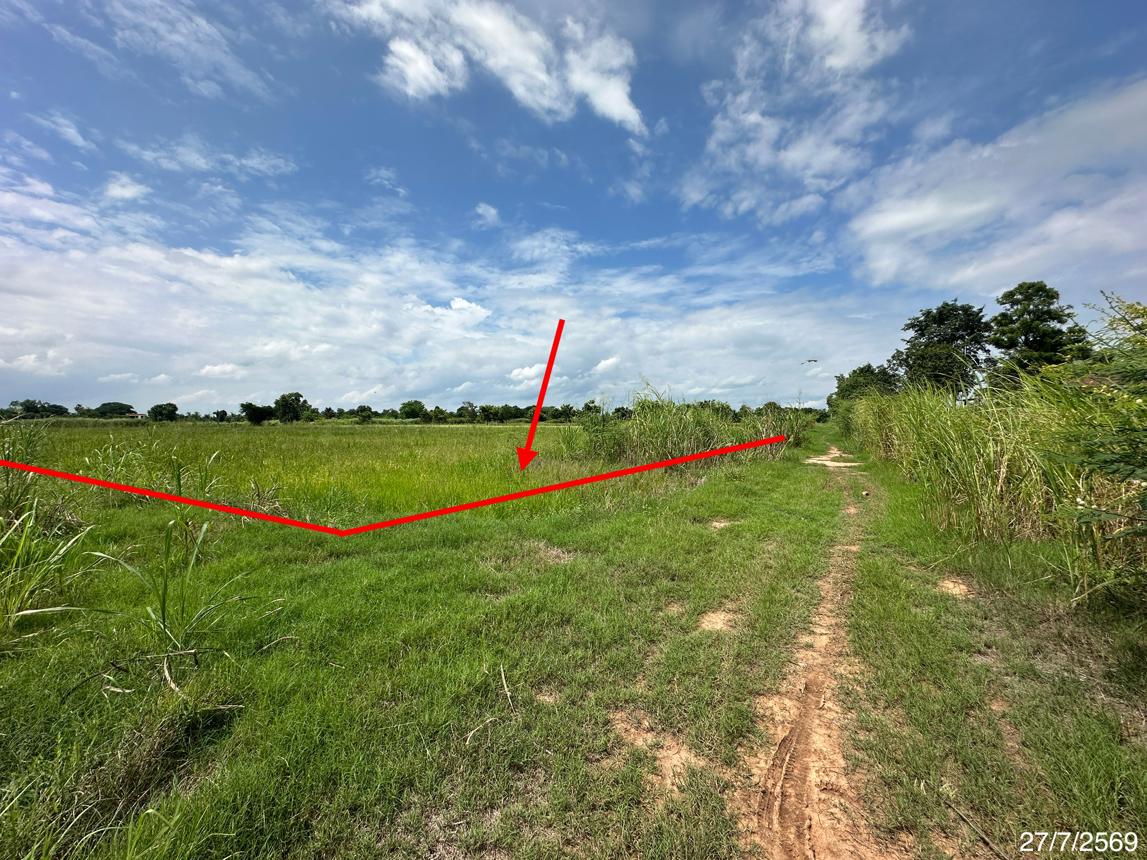 picture LAND 2520 Sq.w. Wang Thong Phitsanulok for 1.4M - 11/19