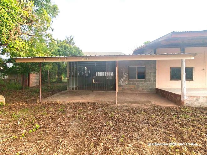 รูป บ้านเดี่ยว 5520 ตร.วา ชานุมาน อำนาจเจริญ 10.2M - รูปที่ 2/55