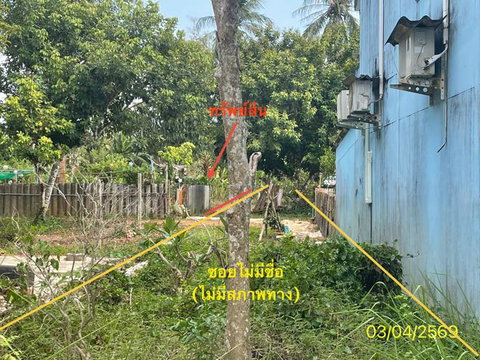 LAND 43.9 Sq.w. Yan Ta Khao Trang for 362,000
