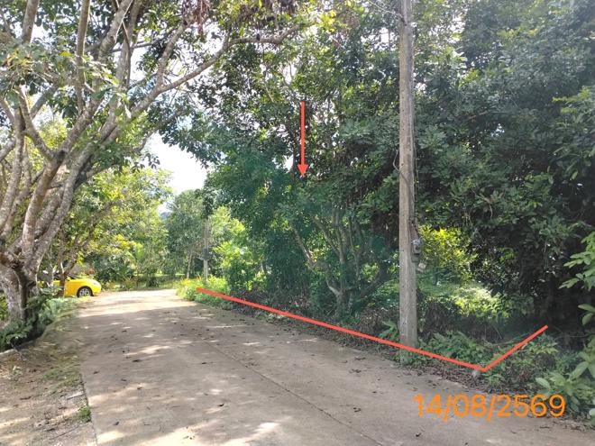 picture HOME 379.2 Sq.w. Muang Krabi Krabi for 2.8M - 10/29