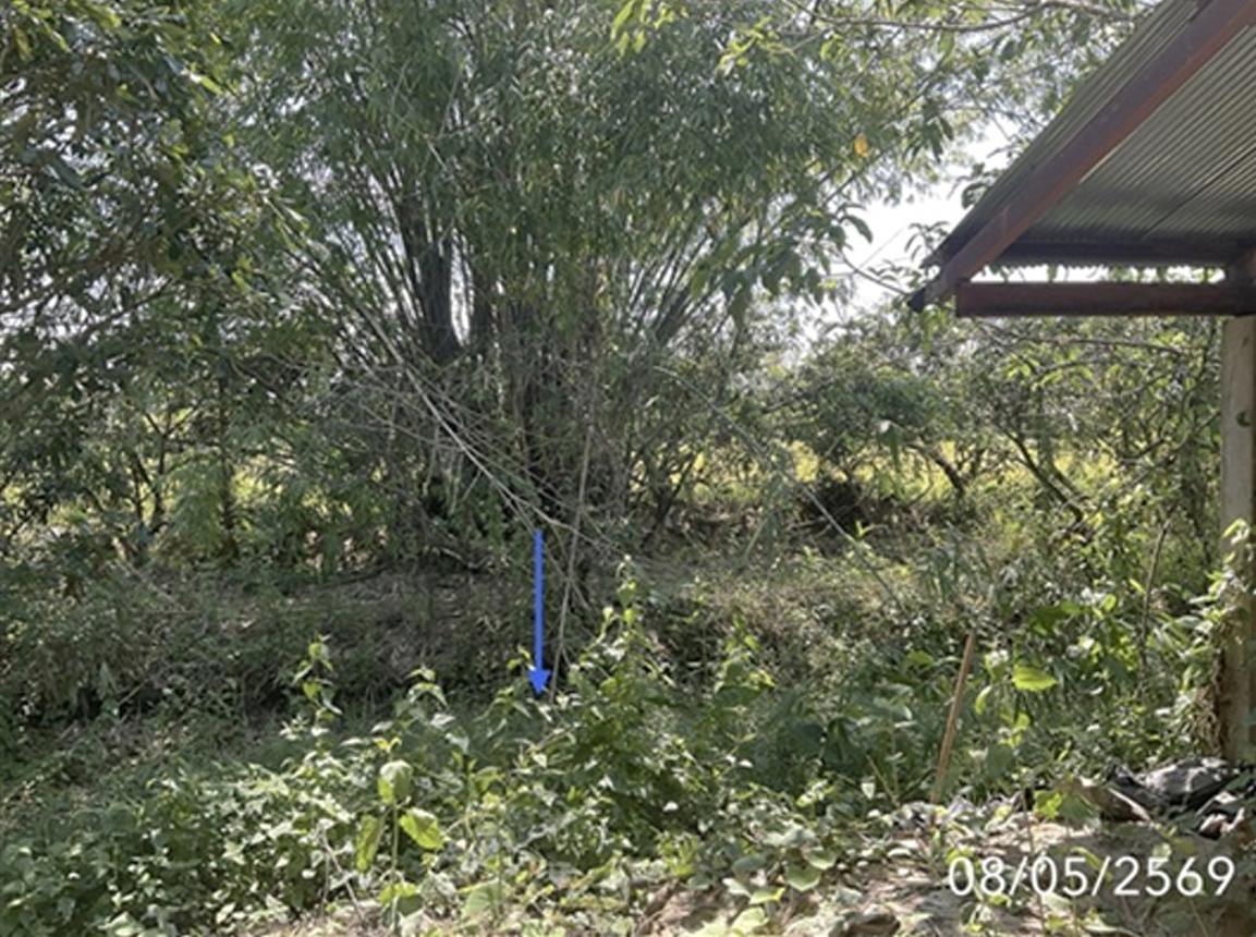 รูป โกดัง 4023 ตร.วา เวียงชัย เชียงราย 4.4M - รูปที่ 17/21