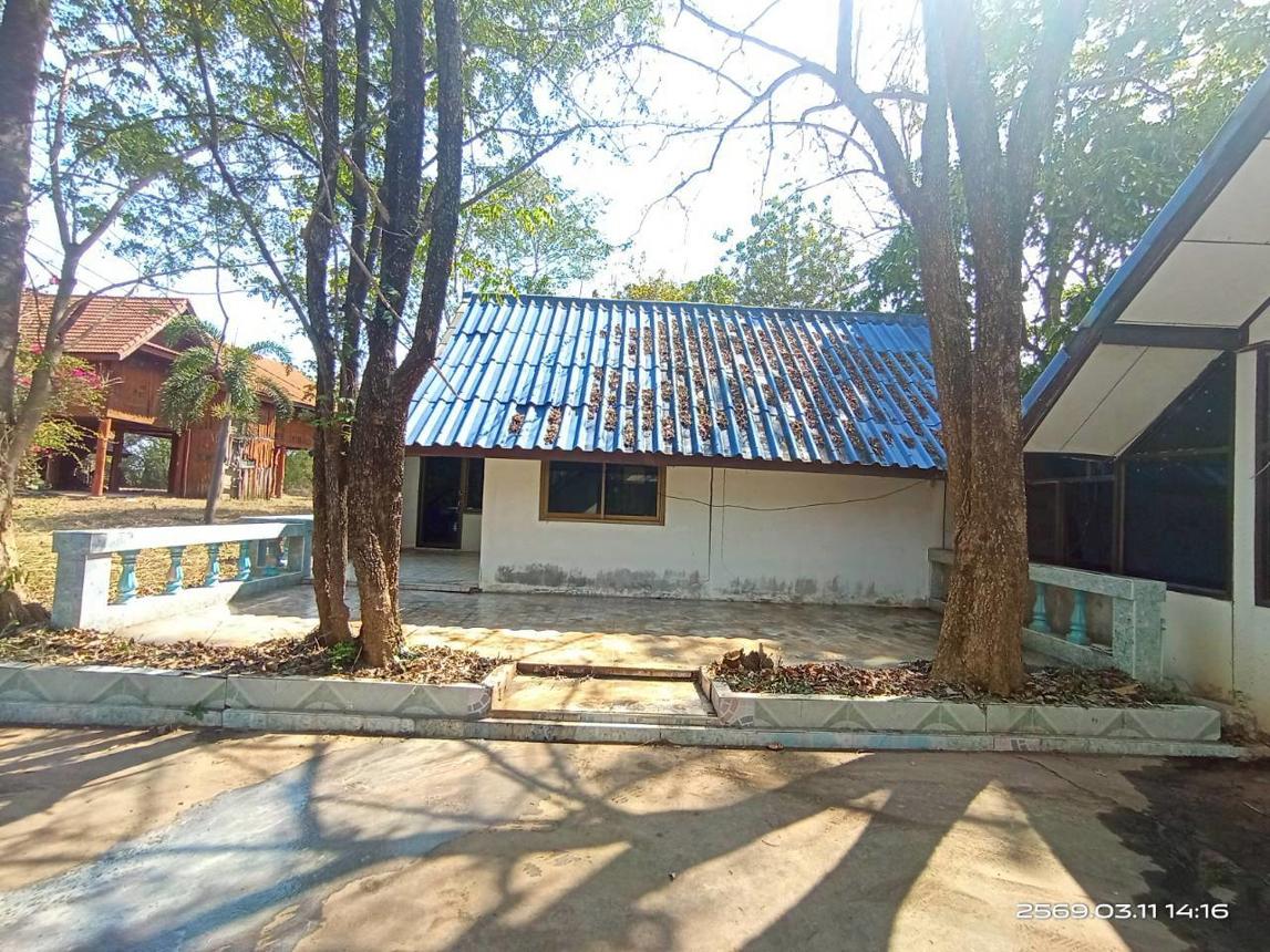 รูป บ้านเดี่ยว 7210 ตร.วา กุดรัง มหาสารคาม 2.7M - รูปที่ 50/59