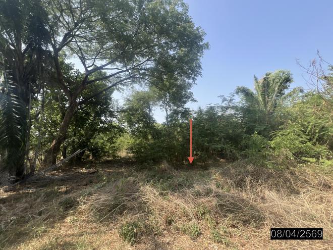 รูป บ้านเดี่ยว 460.9 ตร.วา เมืองอุบลราชธานี อุบลราชธานี 1.7M - รูปที่ 12/35