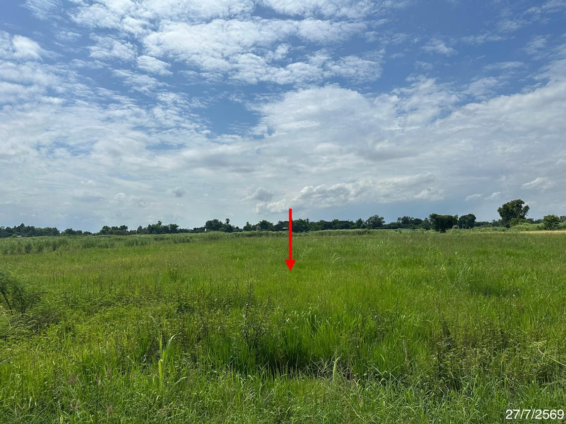 picture LAND 2520 Sq.w. Wang Thong Phitsanulok for 1.4M - 13/19